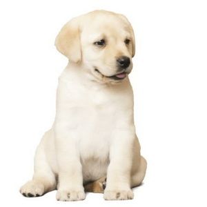 Meet your Posher, Aresha